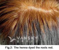 241030110844_Hair-Dying with henna-s.jpg